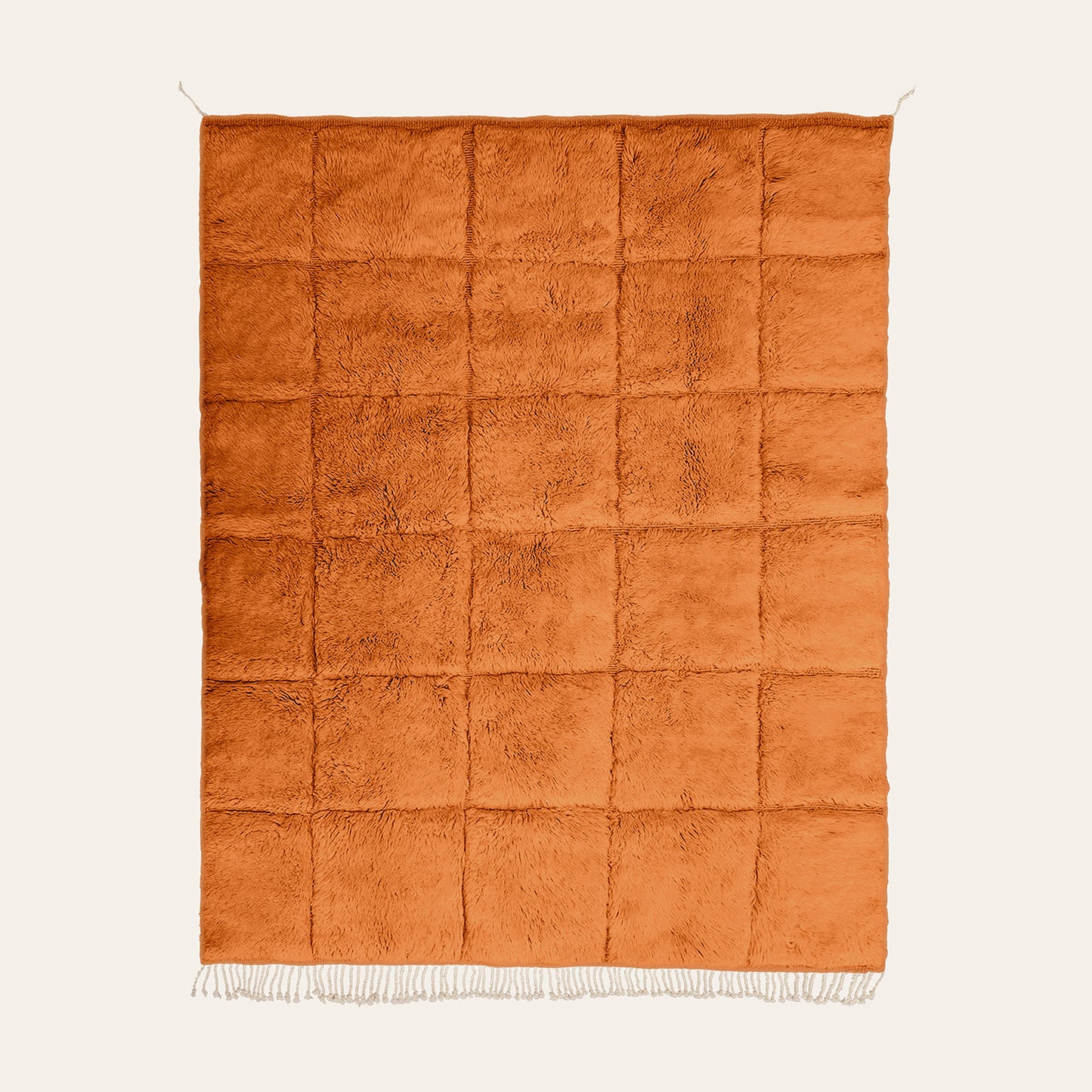 APRICOT CHEBKA