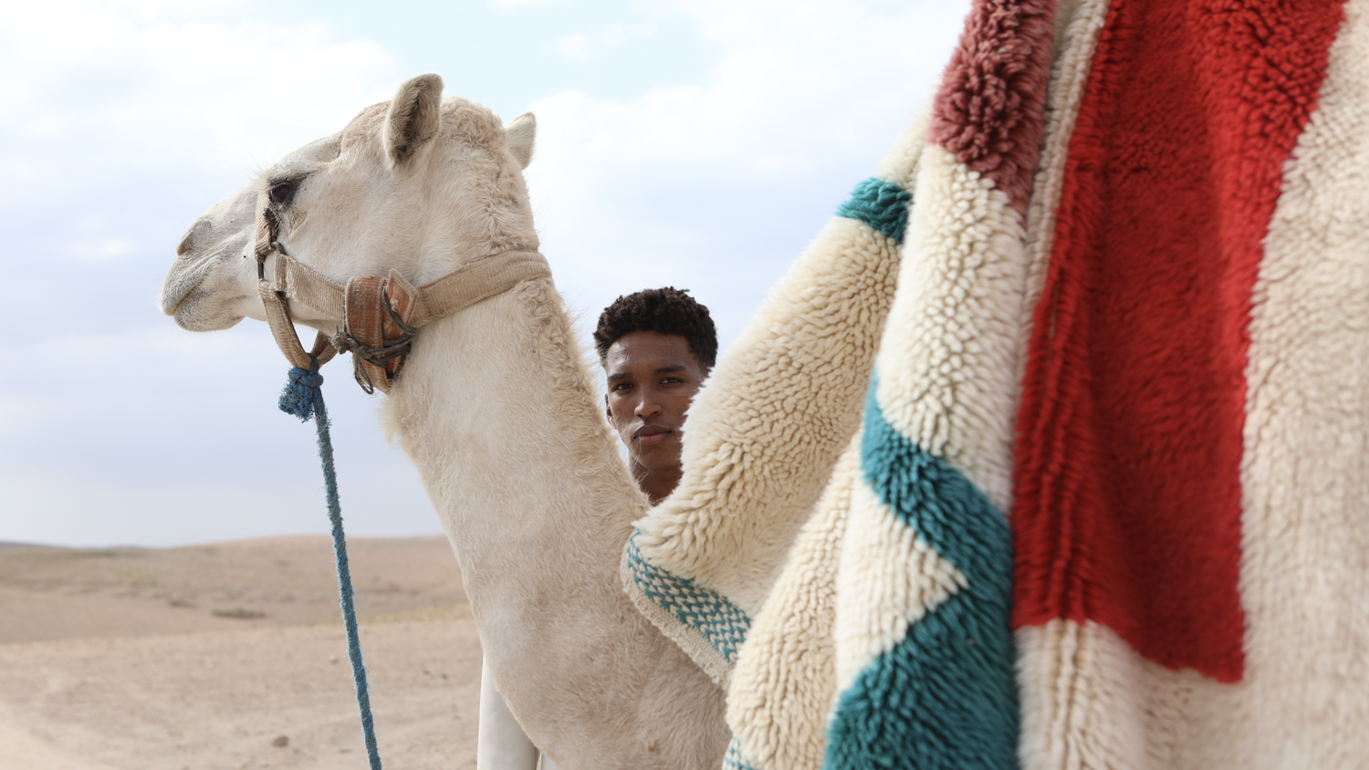 A striking scene featuring a camel in the foreground, adorned with a simple harness, alongside a person partially visible in the background. Draped prominently is a wool rug with vibrant geometric patterns in red, teal, and cream, set against the vast, desert landscape under a soft, cloudy sky.