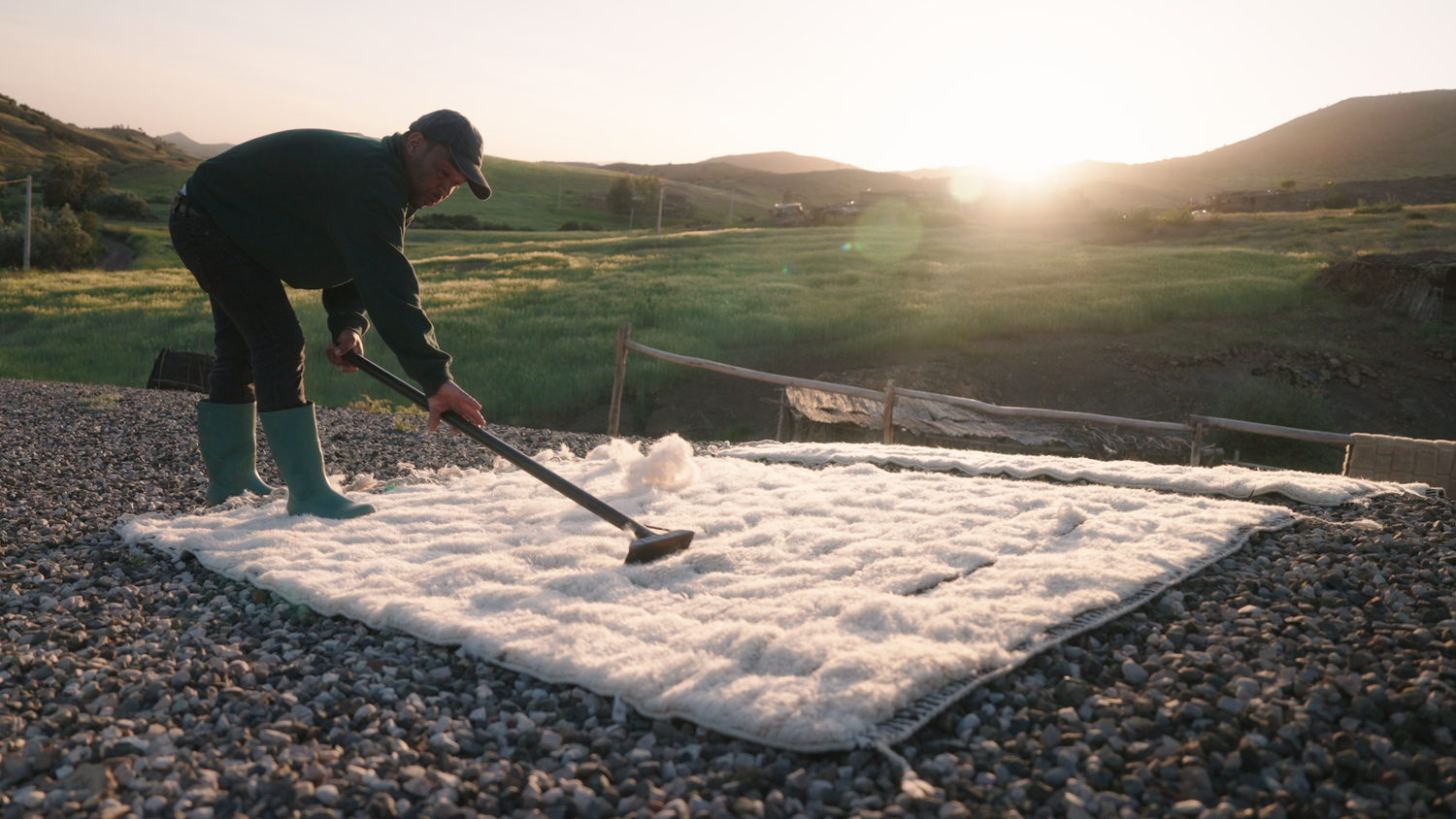 A craftsman cleaning raw wool under the warm evening sun, surrounded by a serene natural landscape, reflecting the care and tradition behind Barbary Wool rugs.