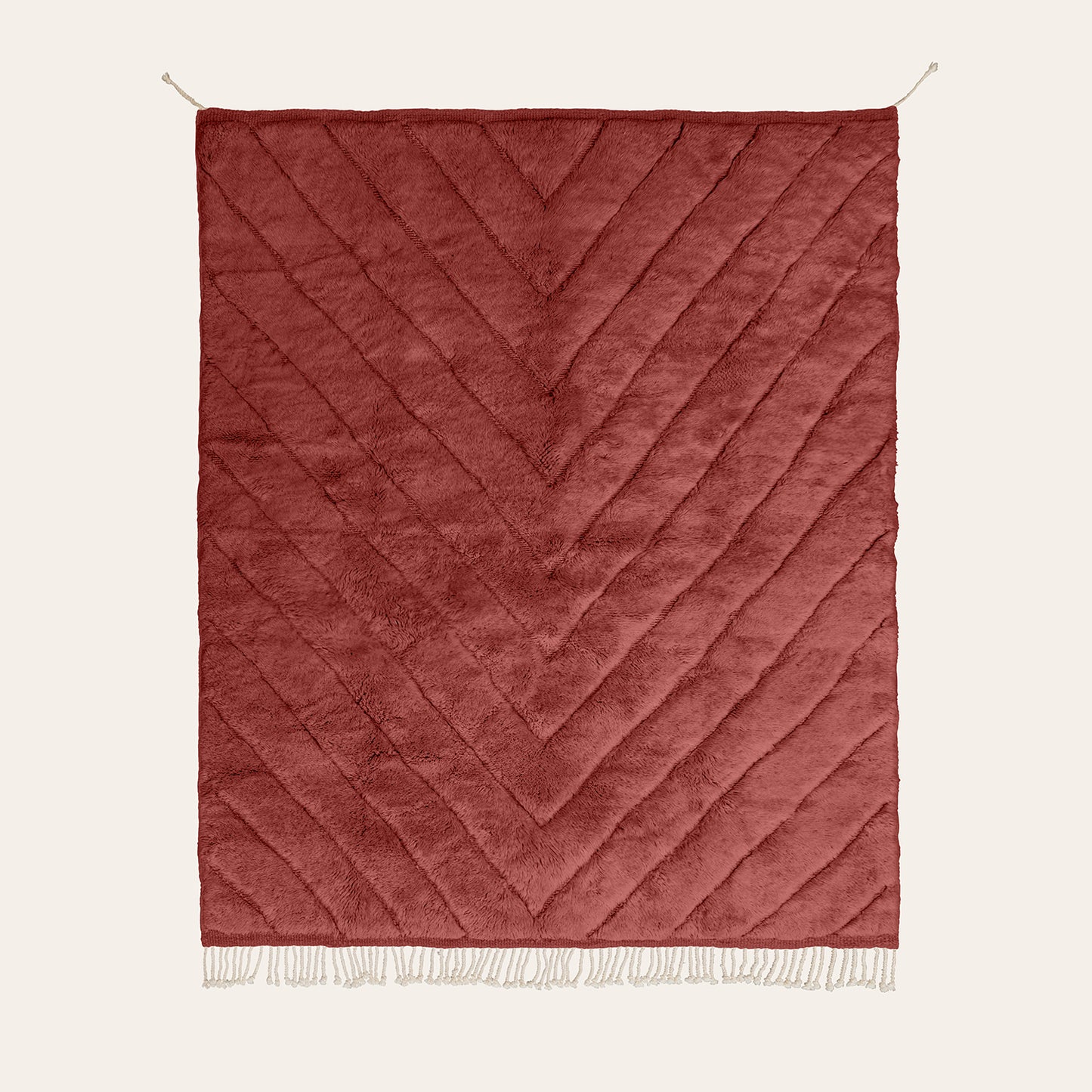 MAROON ADRAR